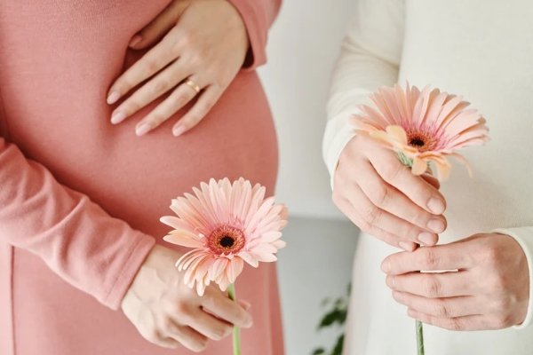 Panduan Memilih Vitamin Ibu Hamil yang Aman