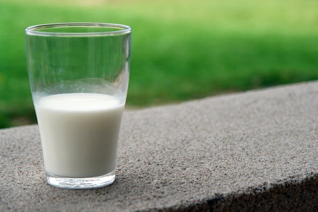 susu sapi murni