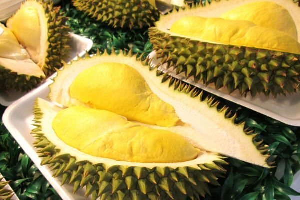 buah durian